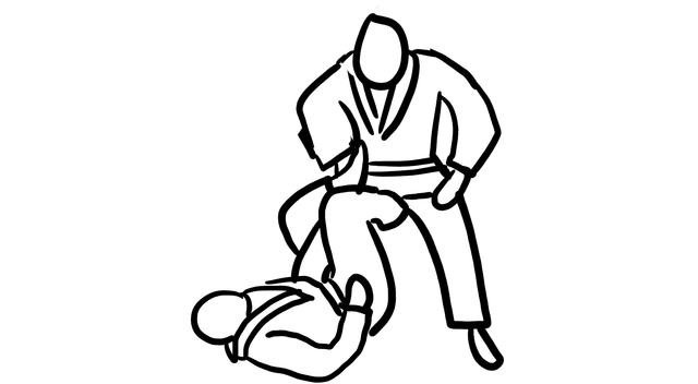 single_leg_x_guard_image